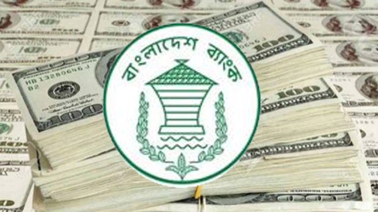 ১৪ দিনে দেশে এলো ১৫৪ কোটি ডলারের বেশি রেমিট্যান্স
