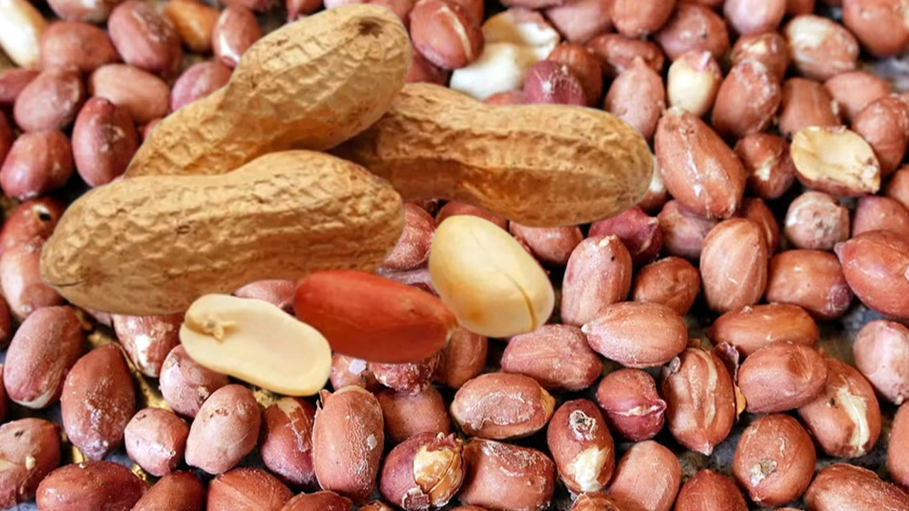 চিনাবাদাম ভিজিয়ে খেলে বেশি উপকারিতা