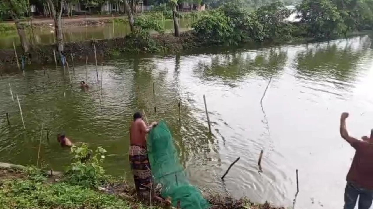 সংবাদ প্রকাশের পর মহেশপুরে মোবাইল কোর্টের অভিযানে নিষিদ্ধ ‘চায়না দুয়ারি’ জাল ধ্বংস