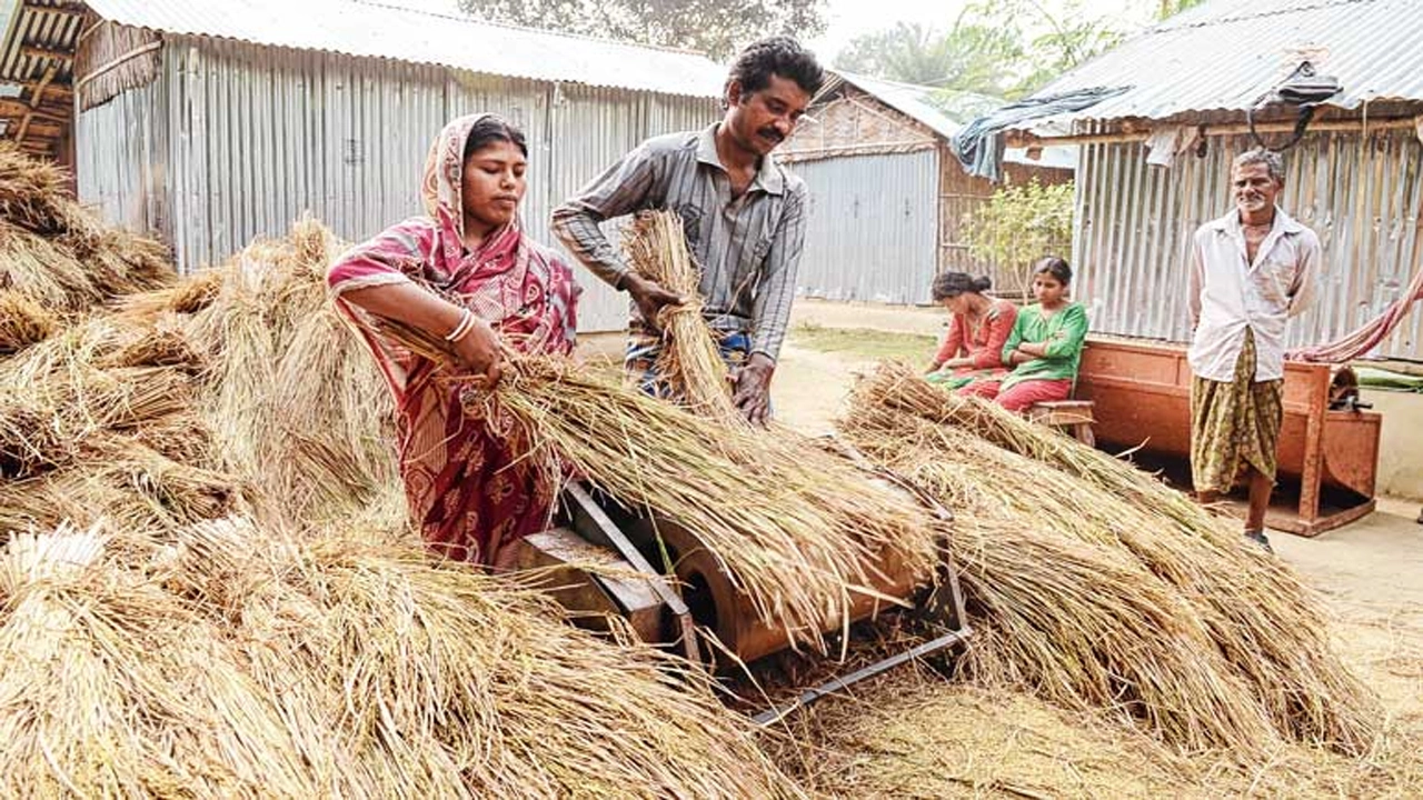 হরমুজ সংকটে দেশের খাদ্য উৎপাদনে বড় ঝুঁকির আশঙ্কা ডব্লিউএফপির
