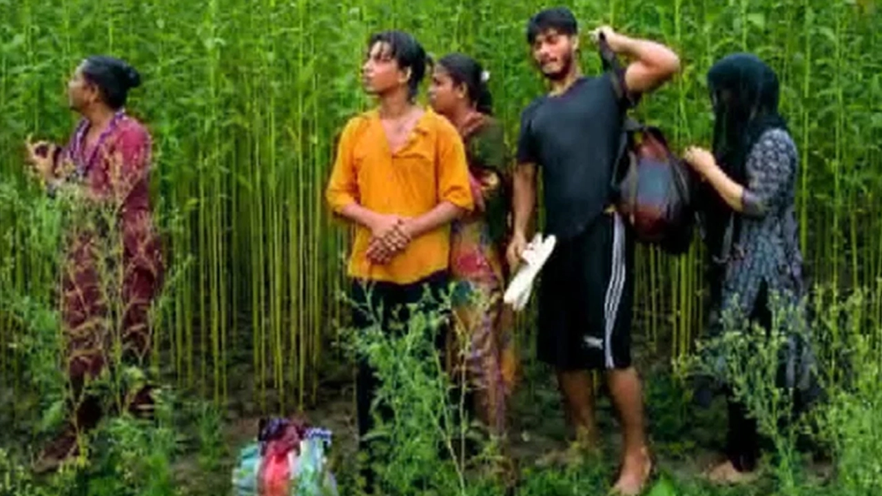 কুষ্টিয়া সীমান্তে বিএসএফের পুশইনের চেষ্টা প্রতিহত করল বিজিবি