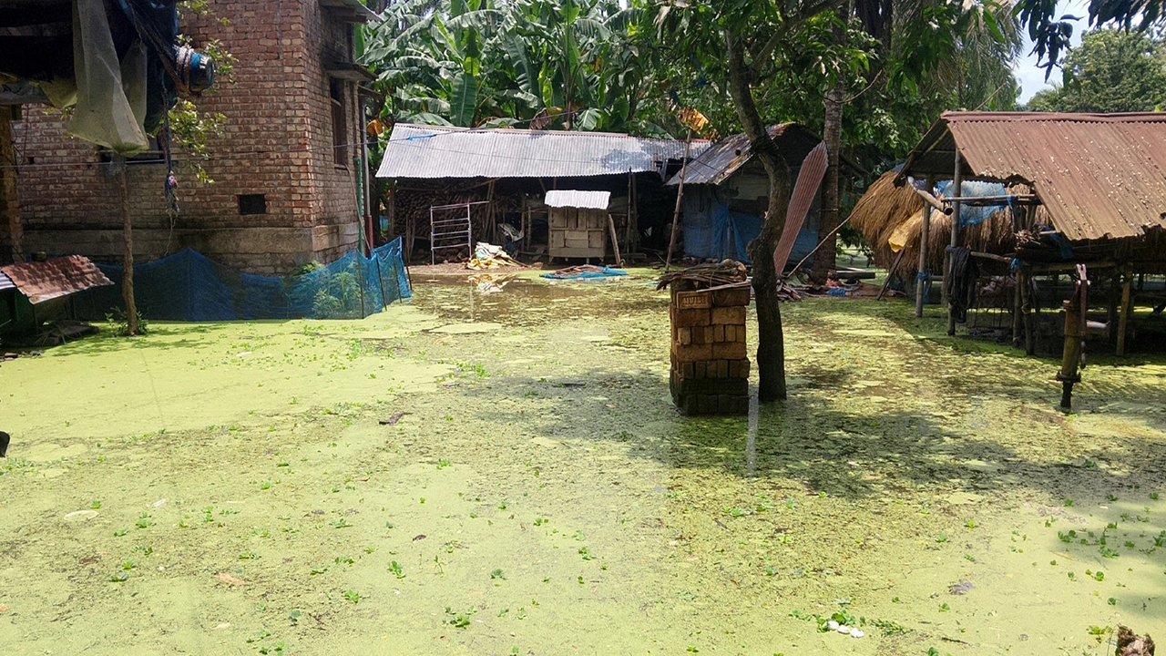 ভবদহের জলাবদ্ধতায় মণিরামপুরের ৩০ গ্রামের দুর্ভোগ, ভোগান্তিতে অর্ধলাখ মানুষ