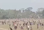 shornollata