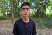 shornollata