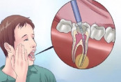 shornollata
